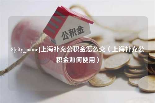 菏泽上海补充公积金怎么交（上海补充公积金如何使用）